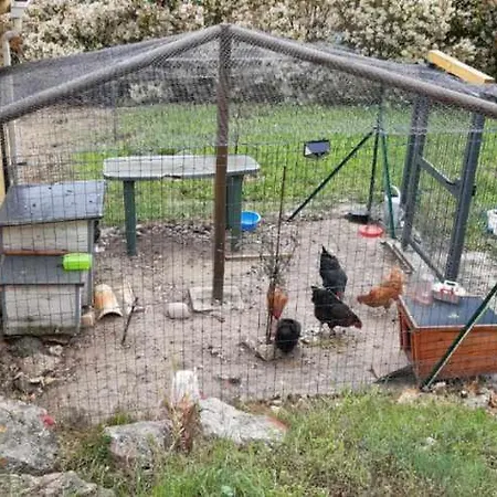 Maison Jaune * Villemus