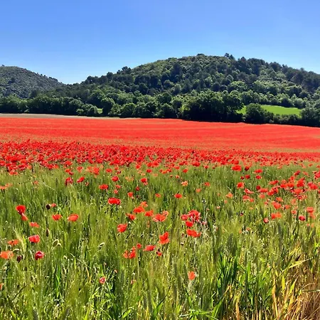 Homestay Maison Jaune Villemus