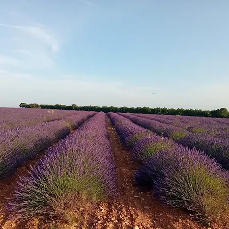 Maison Jaune * Villemus