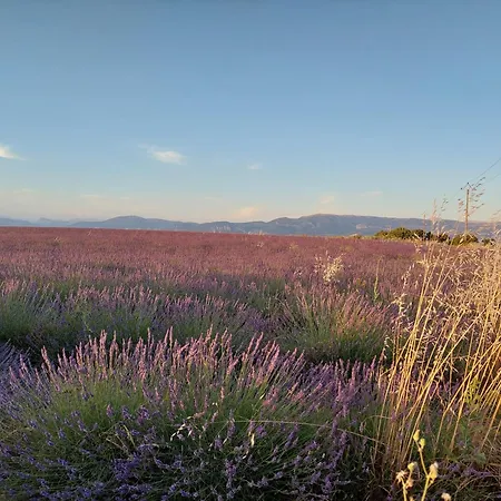 Homestay Maison Jaune