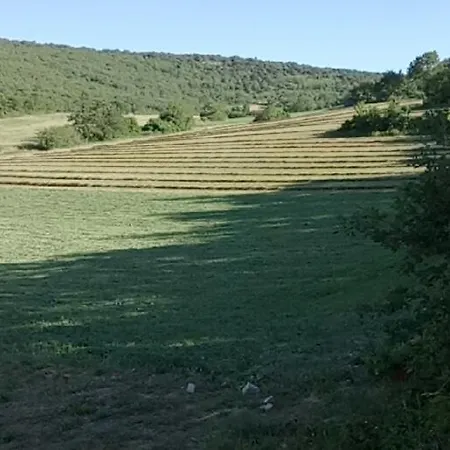 Homestay Maison Jaune