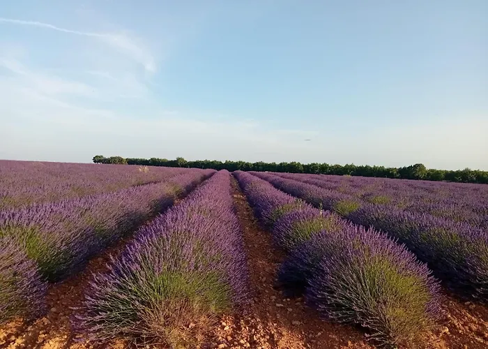 Maison Jaune * Villemus